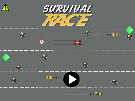 Cover for Survival Race